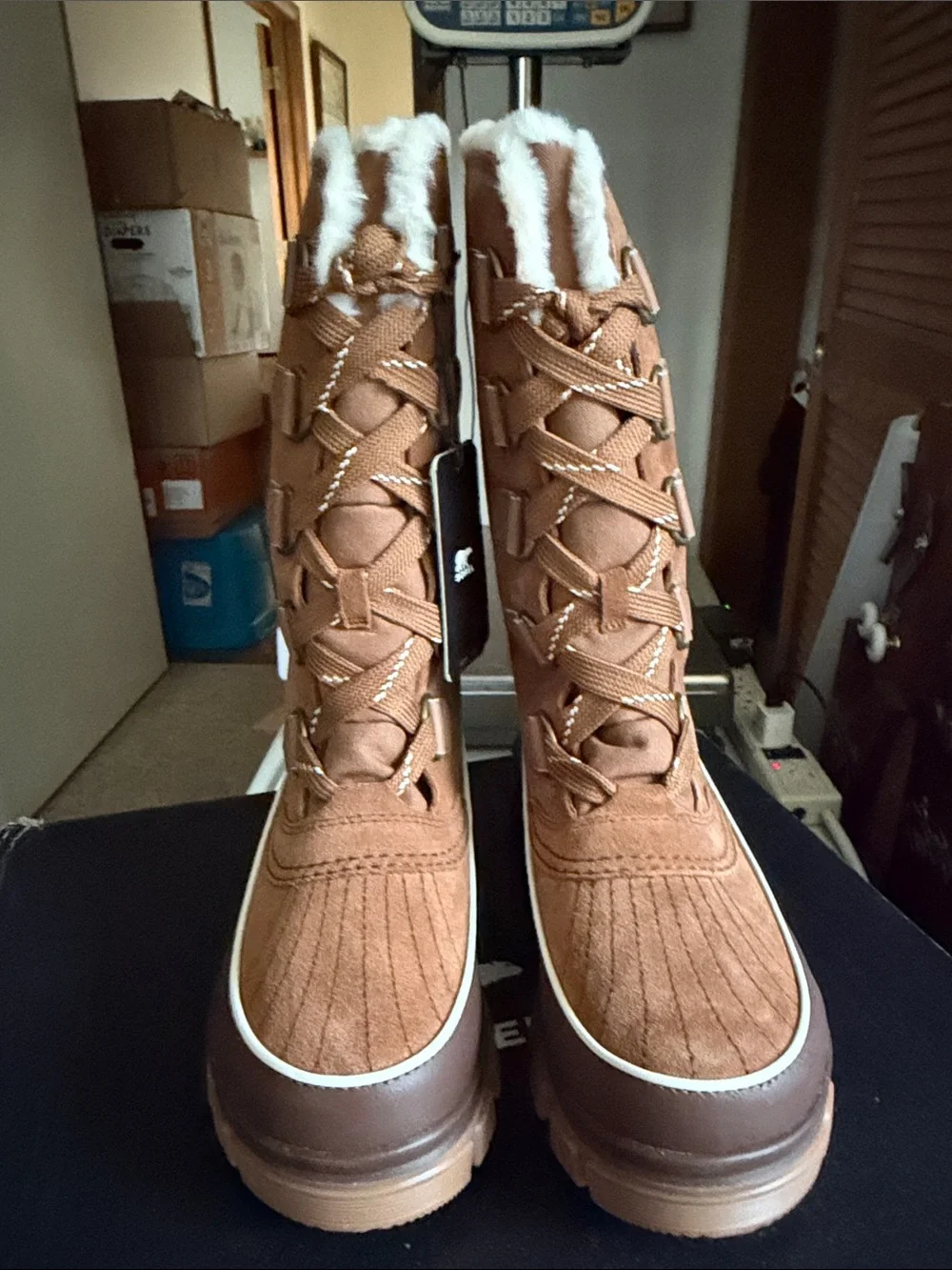 Sorel Women's Tivoli V Tall Lace-Up Winter Boot - Chestnut Brown